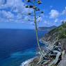 IMG_20180811_105701