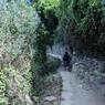 IMG_20180811_110558