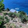 IMG_20180811_120507