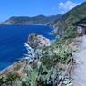 IMG_20180811_120851