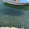 IMG_20180819_141504