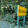 MVIMG_20180819_113652