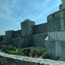 MVIMG_20180819_124215