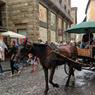 MVIMG_20180814_165320