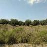 IMG_20180823_132821