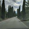 MVIMG_20180815_162049