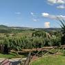 PANO_20180812_175953