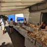 MVIMG_20180816_100331