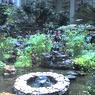 Photo_070908_003