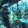 Opryland_Hotel