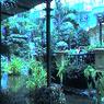 Opryland_Hotel