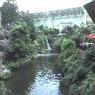 Photo_070908_010