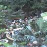 Opryland_Hotel