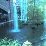 Photo_071008_002