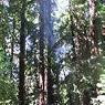 DSCF0761