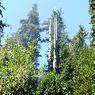 DSCF0767