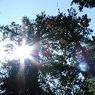 DSCF0776