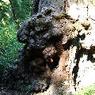 DSCF0828