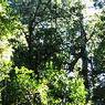 DSCF0852