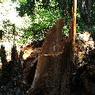 DSCF0855