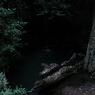 DSCF0861