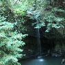 DSCF0874