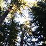 DSCF0889