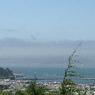 DSCF0209
