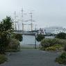 DSCF0267