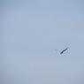 DSCF0136