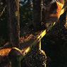 DSCF0155