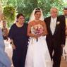 Wedding Pics