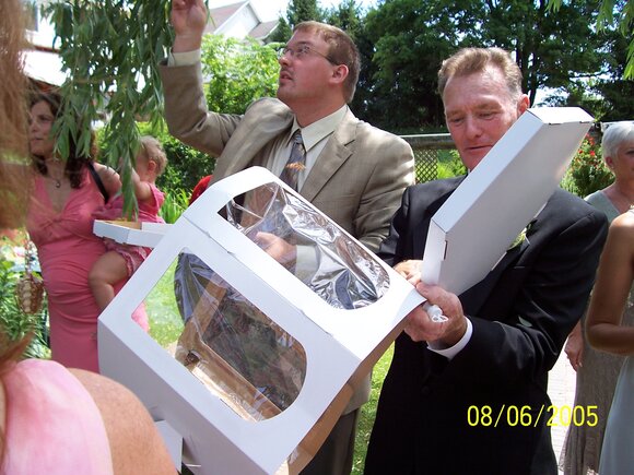 Butterfly Release