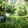 DSCN0641