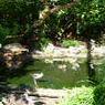 DSCN0648