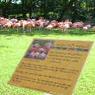 DSCN0650