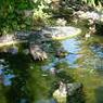 DSCN0655