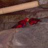 DSCN0661