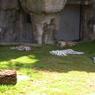DSCN0669