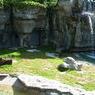 DSCN0670