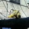 DSCN0672
