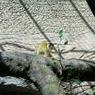DSCN0674
