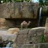 DSCN0694
