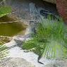 DSCN0698