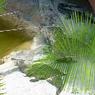 DSCN0699