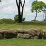 DSCN0711
