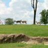 DSCN0712