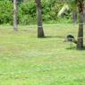 DSCN0715