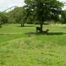 DSCN0723