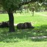 DSCN0728